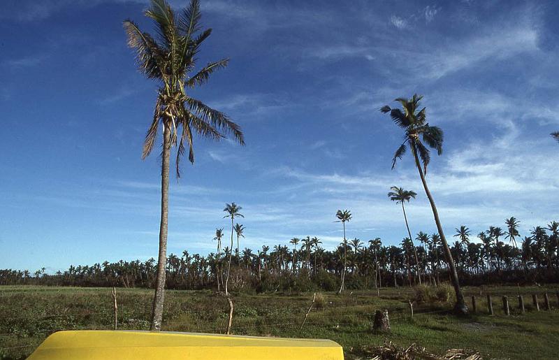 WT 0100 006-16 Fiji.jpg